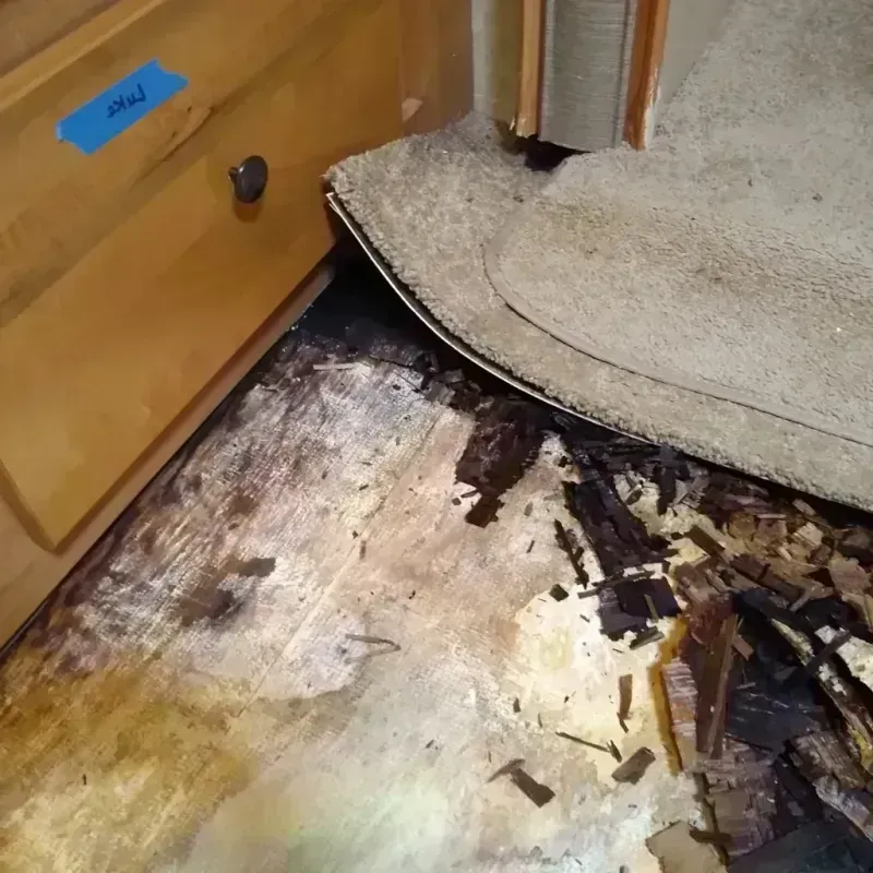 Wood Floor Water Damage in Adams County, WA